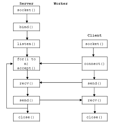 C Program For Socket Programming In Unix Script