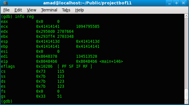 Viewing the content of processor registers