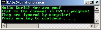 C/C++ data type comment program output