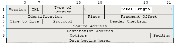 IP datagram header format