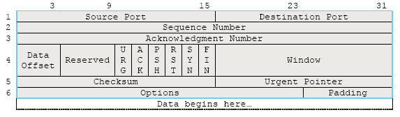 TCP header segment format