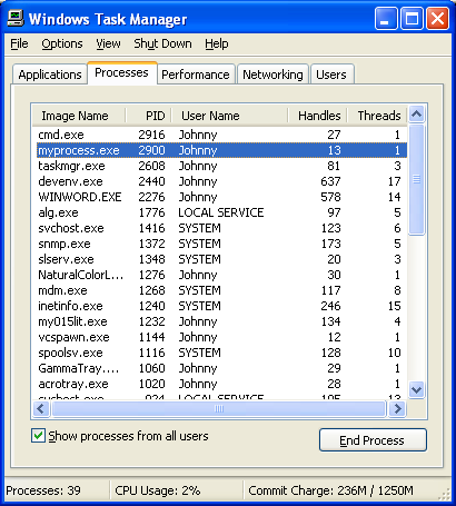 Verifying process creation through Windows Task Manager