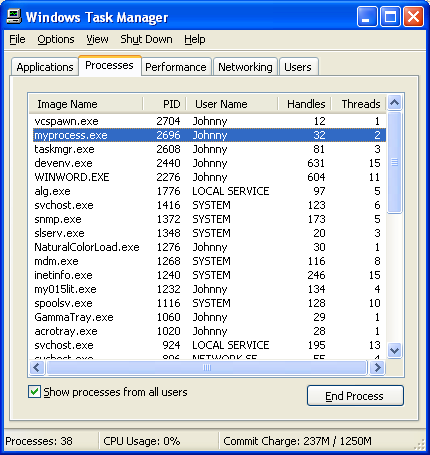 Process/thread creation verification through Windows Task Manager