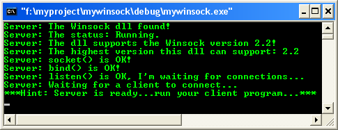 Windows socket program example output screen: using listen() and accept()