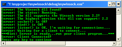Windows socket program example output screen: using connect() and accept() for client-server