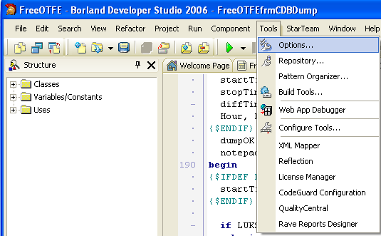 The Invoking the Borland Delphi for Win32 project options