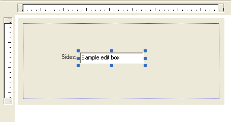 Figure 36: Property page template, adding an Edit control.