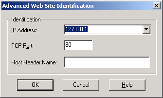 IIS, Web Server and Windows - Figure 17: Web Site Identification page.