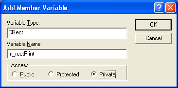 Entering the member variable type and name.