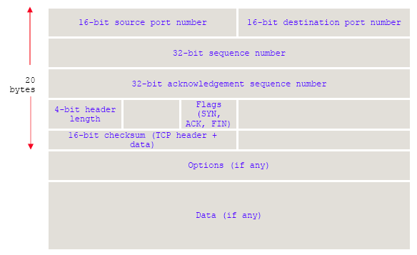 Winsock, C++ and MFC - Figure 6:  A simple layout of a TCP segment.