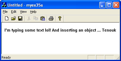 ActiveX document and Internet - Figure 14: MYEX35A output – typing some texts.
