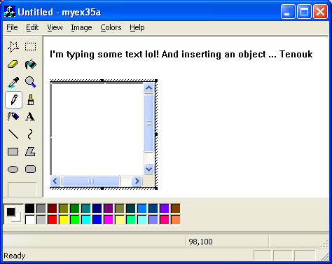ActiveX document and Internet - Figure 17: MYEX35A output – text and bitmap editor.