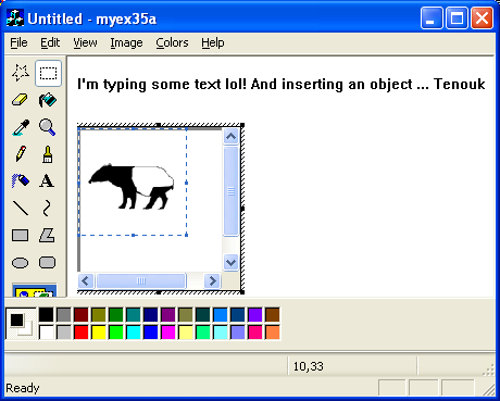 ActiveX document and Internet - Figure 19: MYEX35A output with bitmap and text.